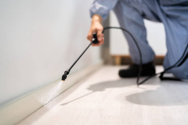 Moyie Springs, ID Pest Control Company