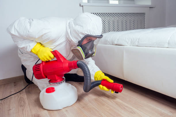 Best Residential Pest Control  in Moyie Springs, ID