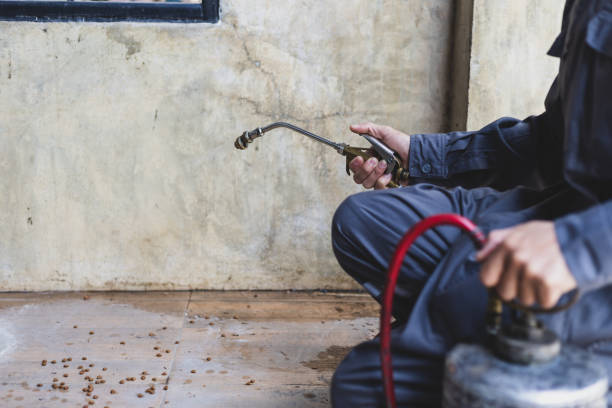 Pest Prevention Services in Moyie Springs, ID